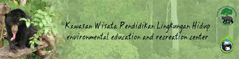 BeruangMadu.org